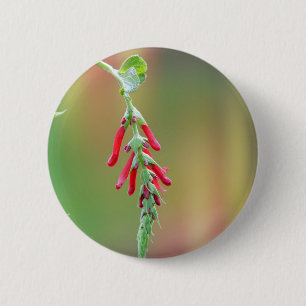 Ananapfelblüte Button