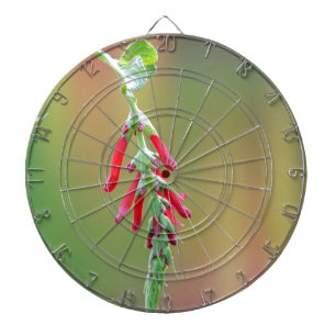 Ananapfelblüte Dartscheibe