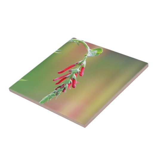 Ananapfelblüte Fliese (Seite)