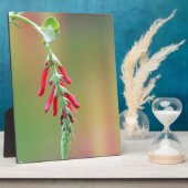 Ananapfelblüte Fotoplatte (Seite)