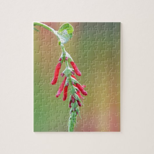Ananapfelblüte Puzzle (Vertikal)