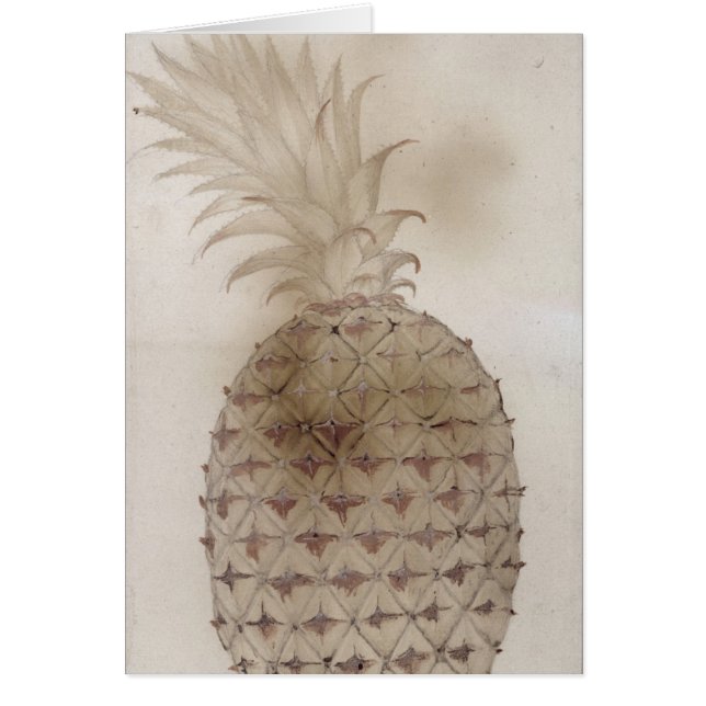 Ananas, (Vorne)