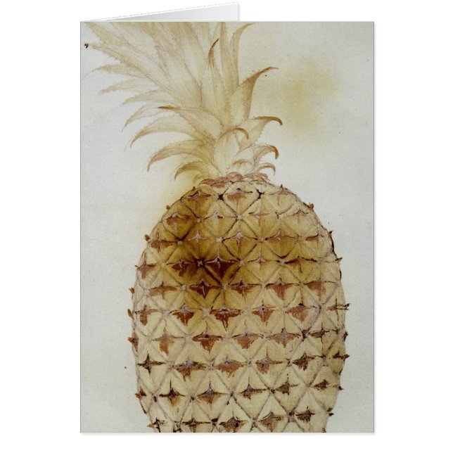 Ananas (Vorne)