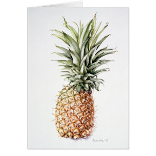 Ananas 1997