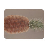 Ananas 2012 magnet (Horizontal)