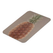 Ananas 2012 magnet (Linke Seite)