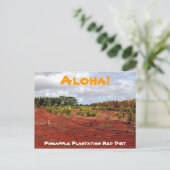 Ananas-Ananas-Plantation Postkarte (Stehend Vorderseite)
