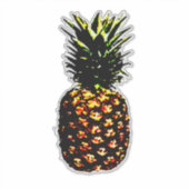 Ananas Aufkleber (Vorderseite)