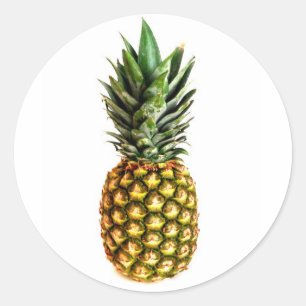Ananas-Aufkleber Runder Aufkleber