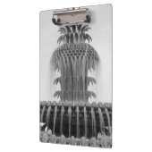 Ananas beruhigen klemmbrett (Links)