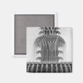 Ananas beruhigen magnet (Vorderseite/Rückseite)