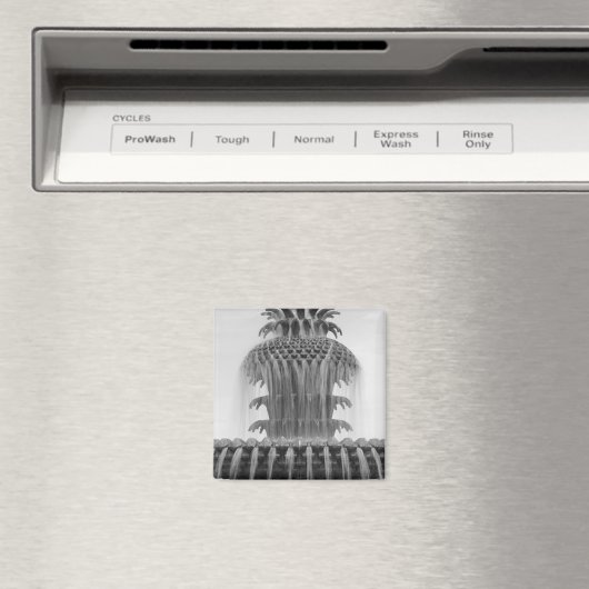 Ananas beruhigen magnet (In Situ (Geschirrspüler))