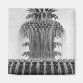 Ananas beruhigen magnet (Vorne)