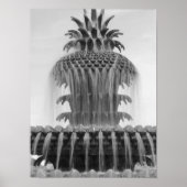 Ananas beruhigen poster (Vorne)