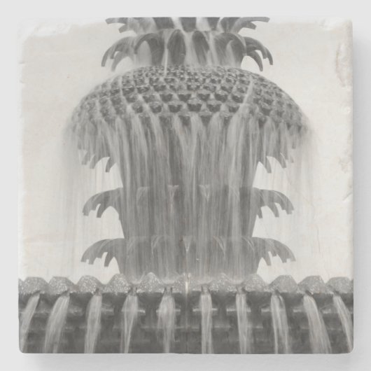 Ananas beruhigen steinuntersetzer (Vorderseite)