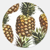 Ananas (BGC anpassbar) Runder Aufkleber (Vorderseite)