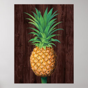 Ananas Botanische Illustration gegen Mahogany Poster