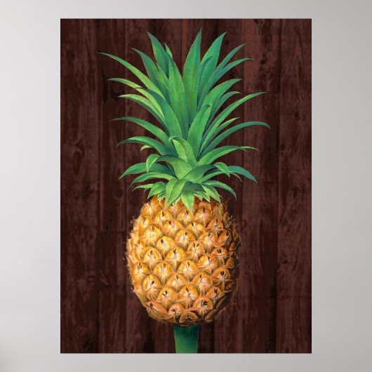 Ananas Botanische Illustration gegen Mahogany Poster (Vorne)
