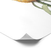 Ananas (Bromelia ananas) von Redouté Poster (Ecke)