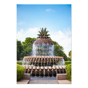 Ananas-Brunnen in Charleston, SC Fotodruck