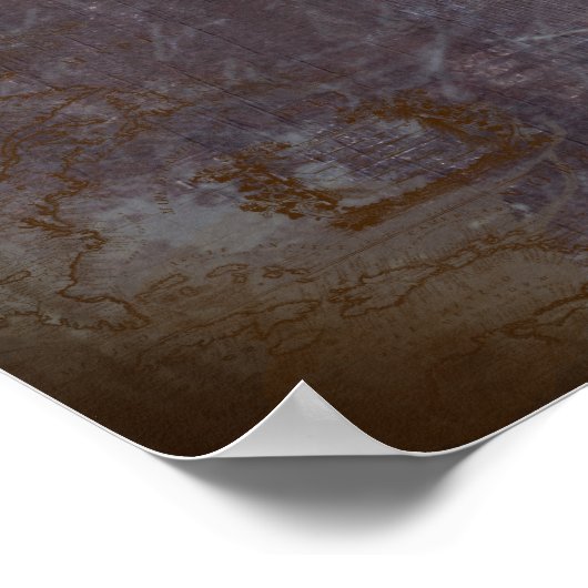 Ananas comosus poster (Ecke)