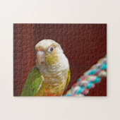 Ananas Conure Jigsaw Puzzle (Horizontal)