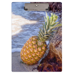 Ananas, die sich am Strand auf Felsen lehnen Klemmbrett
