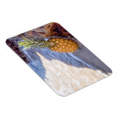 Ananas, die sich am Strand auf Felsen lehnen Magnet (Rechte Seite)