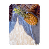 Ananas, die sich am Strand auf Felsen lehnen Magnet (Vertikal)