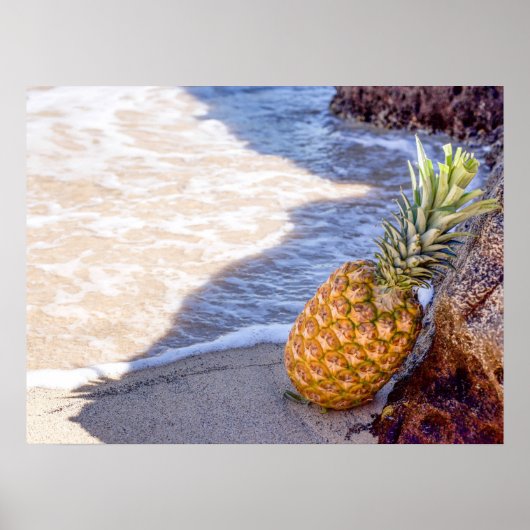 Ananas, die sich am Strand auf Felsen lehnen Poster (Vorne)