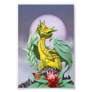 Ananas Dragon 4x6 Print Fotodruck