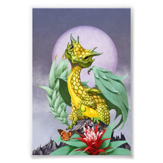 Ananas Dragon 4x6 Print Fotodruck (Vorne)