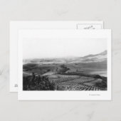 Ananas-Felder in Hawaii-FotografieHawaii Postkarte (Vorne/Hinten)