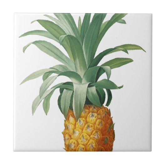 Ananas Fliese (Vorderseite)