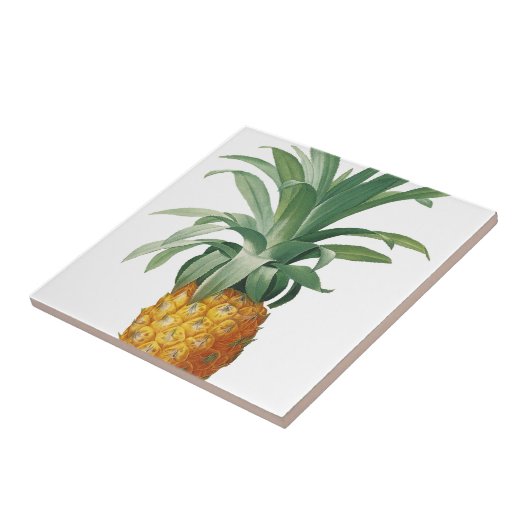 Ananas Fliese (Seite)