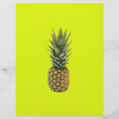 Ananas Flyer (Hinten)