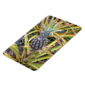 Ananas-Foto-Magnet Magnet (Linke Seite)