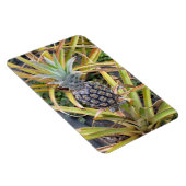 Ananas-Foto-Magnet Magnet (Rechte Seite)