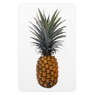 Ananas-Foto-Magnet Magnet