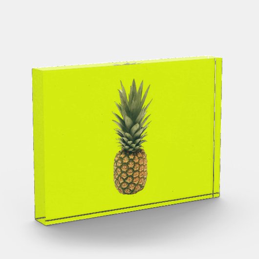 Ananas Fotoblock (Links)
