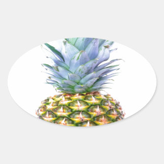 Ananas Frucht Strand Dessert Bunt Tropisch Ovaler Aufkleber