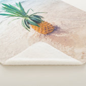 Ananas-Früchte am Strand am Morgen Sherpadecke (3/4)