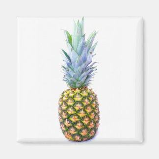 Ananas Fruit Beach Dessert Colorful Tropical Magnet
