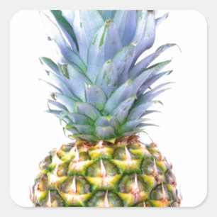 Ananas Fruit Beach Dessert Colorful Tropical Quadratischer Aufkleber