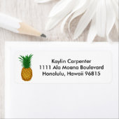 Ananas Gastfreundschaft (Insitu)