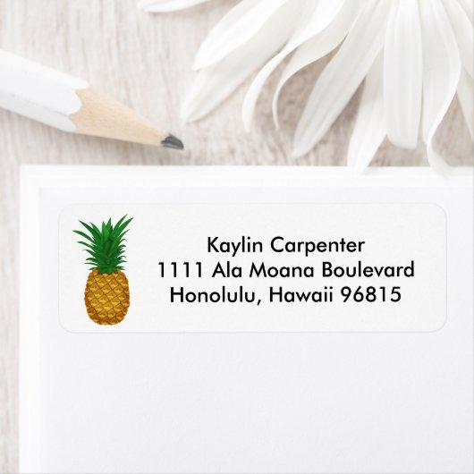 Ananas Gastfreundschaft (Insitu)