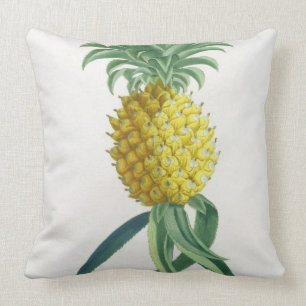 Ananas graviert von Johann Jakob Haid (1704-67) Kissen