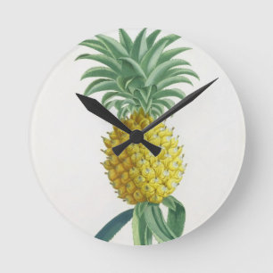 Ananas graviert von Johann Jakob Haid (1704-67) Runde Wanduhr