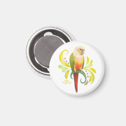 Ananas Grüne Wange Conure Magnet (Vorderseite/Rückseite)