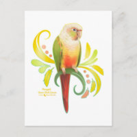 Ananas Grüne Wange Conure